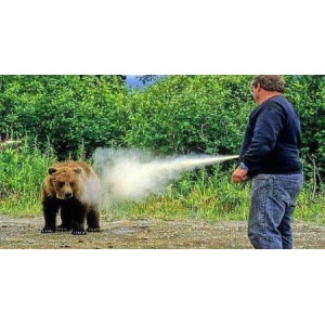Spray Autoaparare Urs Walther ProSecur Bear Defender 225ml