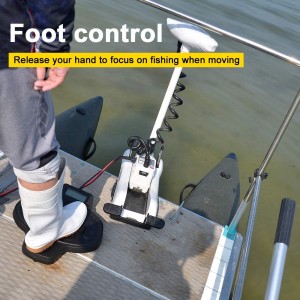 Haswing Foot Control for Cayman B