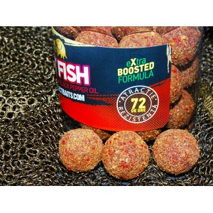 Select Baits Boilies de carlig special intarit Hot Fish 20mm