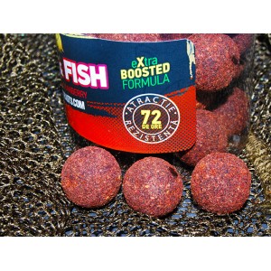 Select Baits Boilies de carlig special intarit Meat & Fish 16mm