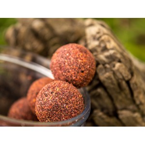 Select Baits Boilies de carlig special intarit Meat & Fish 16mm