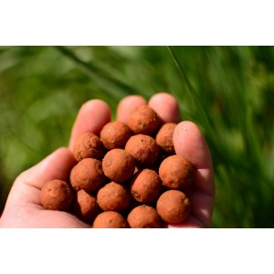Boilies Pro Line Instant 20mm Monster Crab