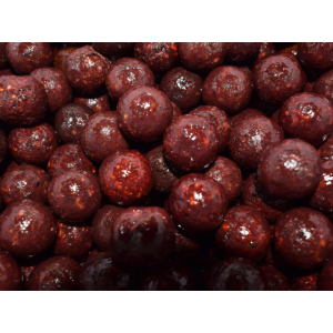 Select Baits Boilies Meat & Fish + Squid & Octopus & Cranberry 24mm 1kg Solubile