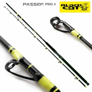 Lanseta BLACK CAT Passion Pro II 2.40m 600g