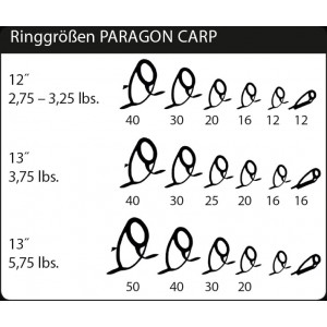 Lanseta Sportex Paragon Carp 3.96m 3.75lbs