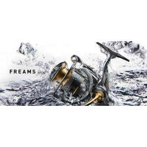 Mulineta Daiwa Freams LT 5000D-C