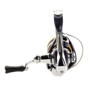 Mulineta Daiwa Regal LT 1000D