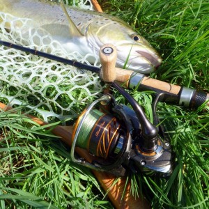 Mulineta Daiwa Silver Creek LT 2000S XH