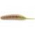 FishUp Trout Series Tanta Cheese 5cm #137 Coffee Milk Light Olive