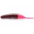 FishUp Trout Series Tanta Cheese 5cm #139 Earhtworm Hot Pink