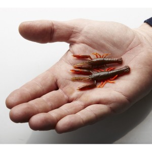 Savage Gear 3D Crayfish Rattling 6.7cm 2.9g Red UV