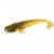 Shad FishUp Catfish 7.5cm #036 Caramel Green Green & Black