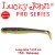 Shad Lucky John Long John 10.5cm Wakasagi