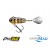 Spinnertail SpinMad Crazy Bug 4g 2408