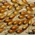 Vobler HMKL Crank 33MR Suspending (Custom Painted) Gold