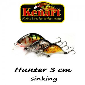 Vobler Kenart Hunter 3cm 3g sinking Trout Real