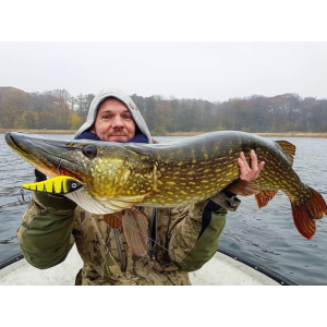 Vobler Westin Swim 10cm 32g Concealed Fish+ SP